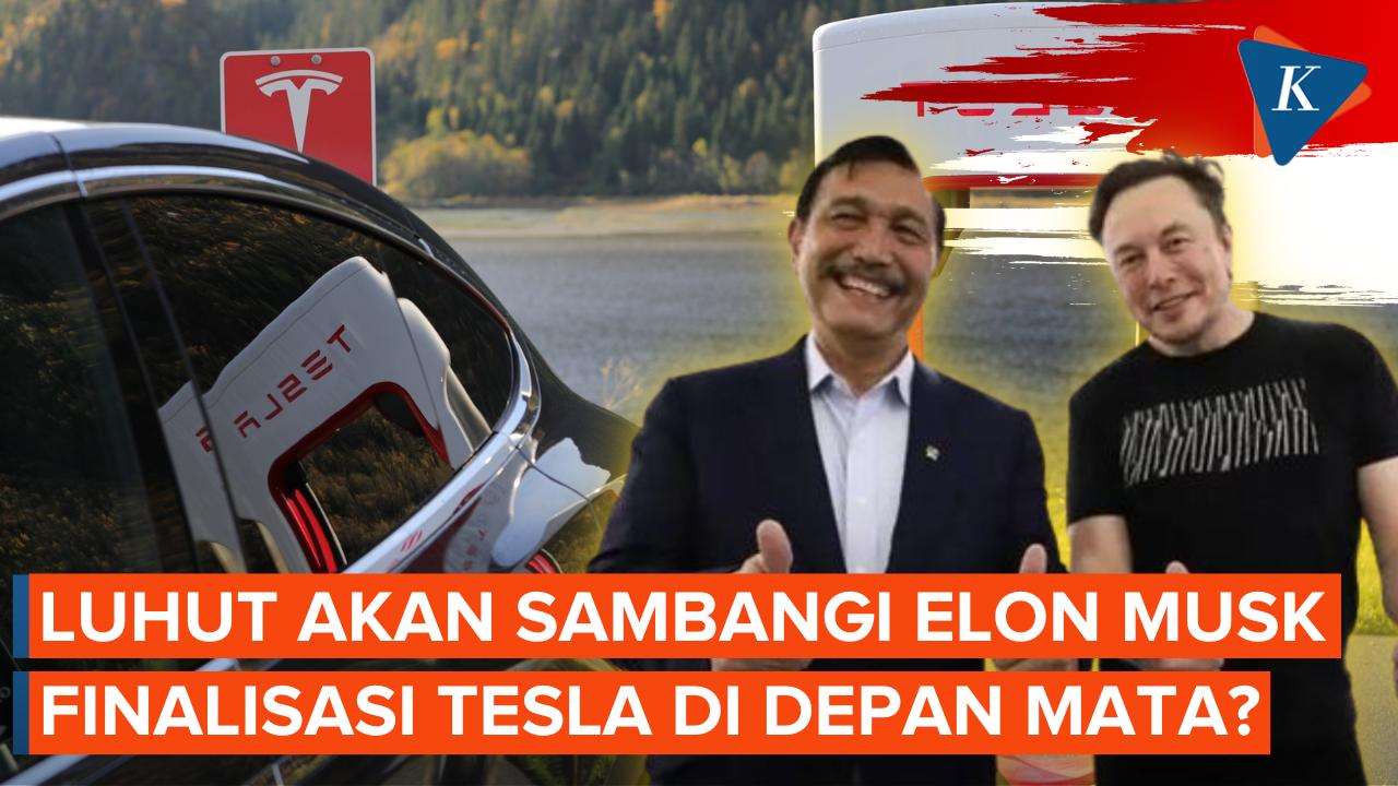 Penentuan Nasib Tesla Di Indonesia Terjawab Usai Luhut Temui Elon Musk?