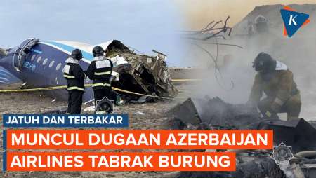 Muncul Dugaan Pesawat Azerbaijan Airlines Jatuh Usai Bertabrakan dengan Burung