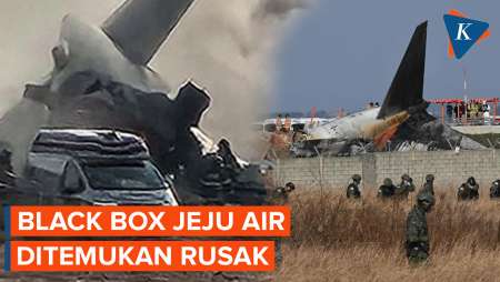 Black Box Jeju Air Ditemukan, Tetapi Salah Satunya Rusak