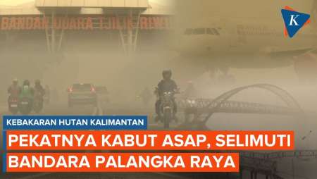 Ngerinya Kabut Asap di Kalimantan Tengah, Pesawat Tak Bisa Terbang
