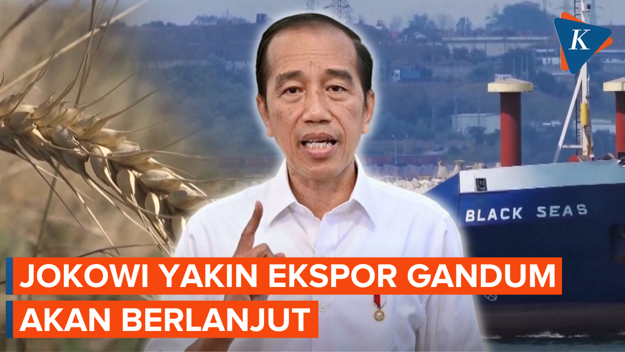 Jokowi Yakin Ekspor Gandum dari Laut Akan Berlanjut Demi Keamanan Pangan Dunia