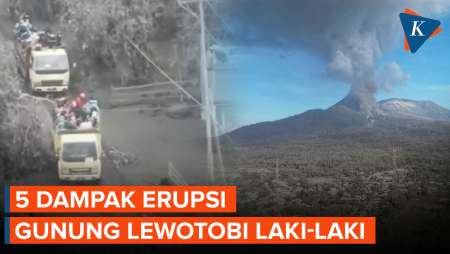 Sudah Terjadi Sepekan Lebih, Ini 5 Dampak Serius Erupsi Gunung Lewotobi Laki-laki