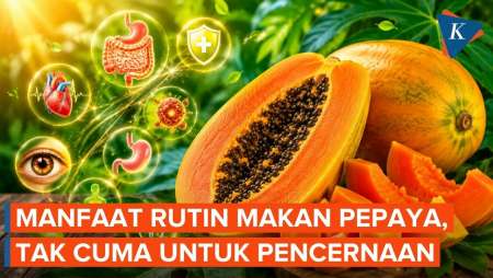Manfaat Makan Pepaya Untuk Kesehatan