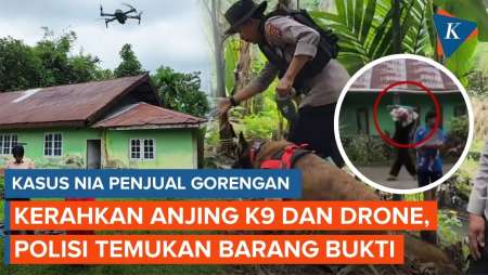 Titik Terang Kasus Nia Penjual Gorengan, Tersangka Lari ke Hutan