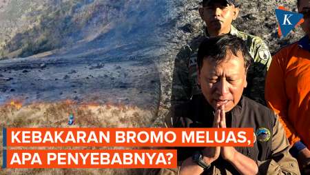 Dugaan Penyebab Kebakaran Gunung Bromo, Dipicu Aktivitas Manusia?
