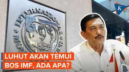 Luhut akan Temui Bos IMF, Ada Apa?