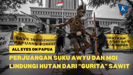 All Eyes on Papua, Ketika Hutan Adat Papua Dibabat...