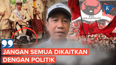 Ritual Injak Kepala Kerbau Dikaitkan Dengan Politik, Jokowi: Enggak Nyambung
