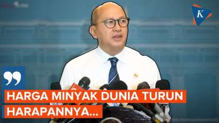 Rosan Bongkar Isi Pertemuannya Dengan Prabowo, Harga Minyak Dunia Turun, BBM Berpeluang Lebih Murah?