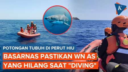 Basarnas Pastikan Potongan Tubuh di Perut Hiu WN AS yang Hilang di Maluku