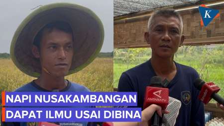 Cerita Napi Belajar Nyawah Dan Beternak Di Nusakambangan, Jadi Bekal Usai Bebas