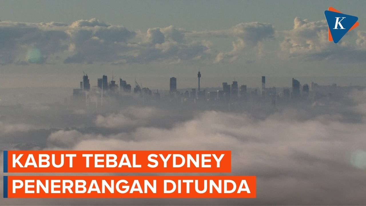Kabut Tebal Selimuti Sydney hingga Tunda Penerbangan