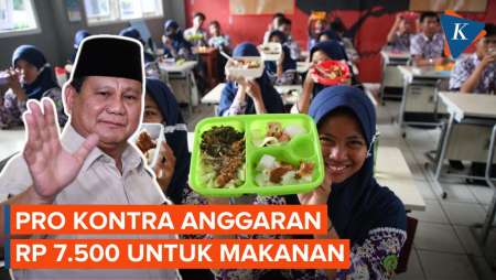 Anggaran Rp 7.500 Dinilai Lebih Cocok untuk Camilan Bergizi, Bukan Makan Siang