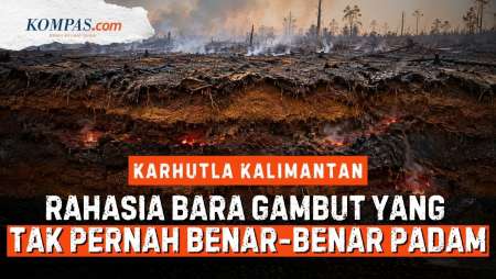 Karhutla Kalimantan, Kenapa Lahan Gambut Mudah Terbakar tapi Sulit Dipadamkan