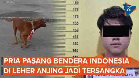 Pasang Bendera Merah Putih ke Leher Anjing, Pria asal Riau…