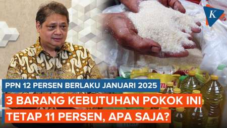 PPN 12 Persen Berlaku Januari 2025, 3 Barang Kebutuhan Pokok Ini Tetap 11 Persen