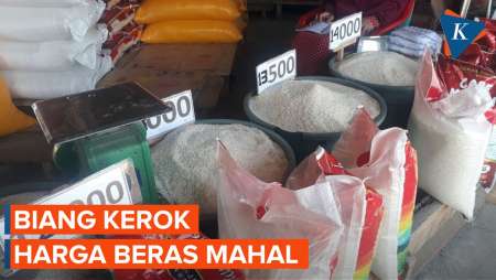 Harga Beras Mahal, Apa Penyebabnya?