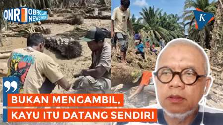 Warga Manfaatkan Kayu Gelondongan Bisa Dipidana? Ini Penjelasan Pakar Hukum