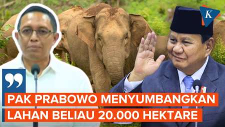 WWF Minta Wilayah Konservasi Gajah di Indonesia, Prabowo Siapkan 20.000 Hektare