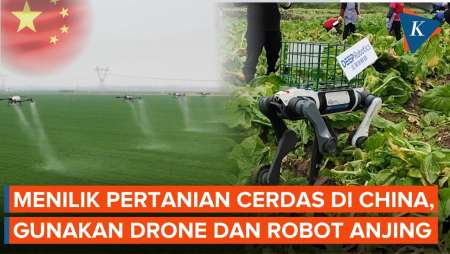 Menilik Pertanian Cerdas Di China, Drone Dan Robot Anjing Bantu Urus Ladang