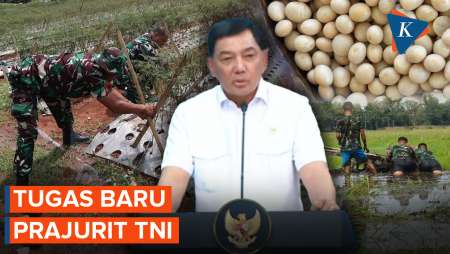 Transformasi Peran TNI, Menhan Beri Tugas Prajurit Tanam Padi Hingga Kedelai 