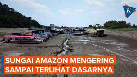 Penampakan Amazon yang Kian Mengering, Terparah dalam Seabad Terakhir