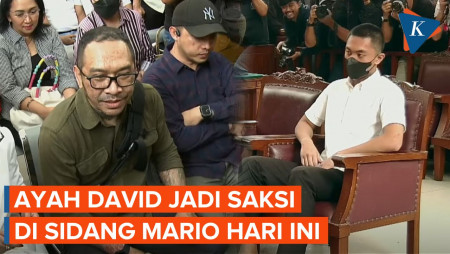 Hari Ini, Ayah David Ozora Jadi Saksi di Sidang Mario Dandy