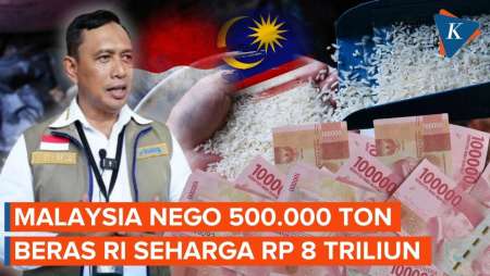 Malaysia Nego 500.000 Ton Beras Premium RI Seharga Rp 8 Triliun
