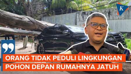 Hasto Singgung Insiden Pohon Tumbang Saat Ditanya Kesiapan Mahfud untuk Debat