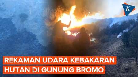 Rekaman Udara Kebakaran Bromo, Api Hanguskan 743 Hektar Lahan