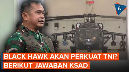 Black Hawk Sikorsky S-70M Bakal Perkuat TNI AD? Ini Jawaban KSAD