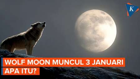 Bersiap! Wolf Moon Muncul 3 Januari 2026, Apa Itu?