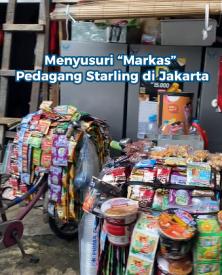 Menyusuri Markas Pedagang Starling Jakarta