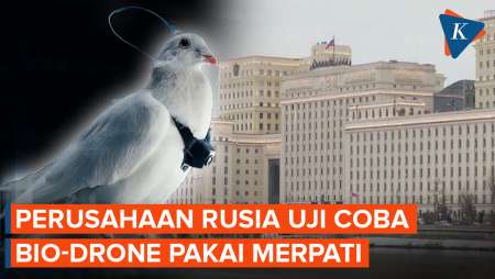 Unik! Perusahaan Rusia Uji Coba Bio-Drone Pakai Merpati Hidup
