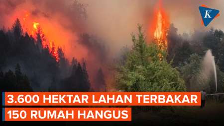 Kebakaran Hutan di Patagonia Argentina, 150 Rumah Rusak, Ribuan Orang Mengungsi