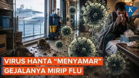 Mengenal Bahaya Virus Hanta Yang Renggut Nyawa Penumpang Kapal Pesiar, Ternyata Mirip Flu