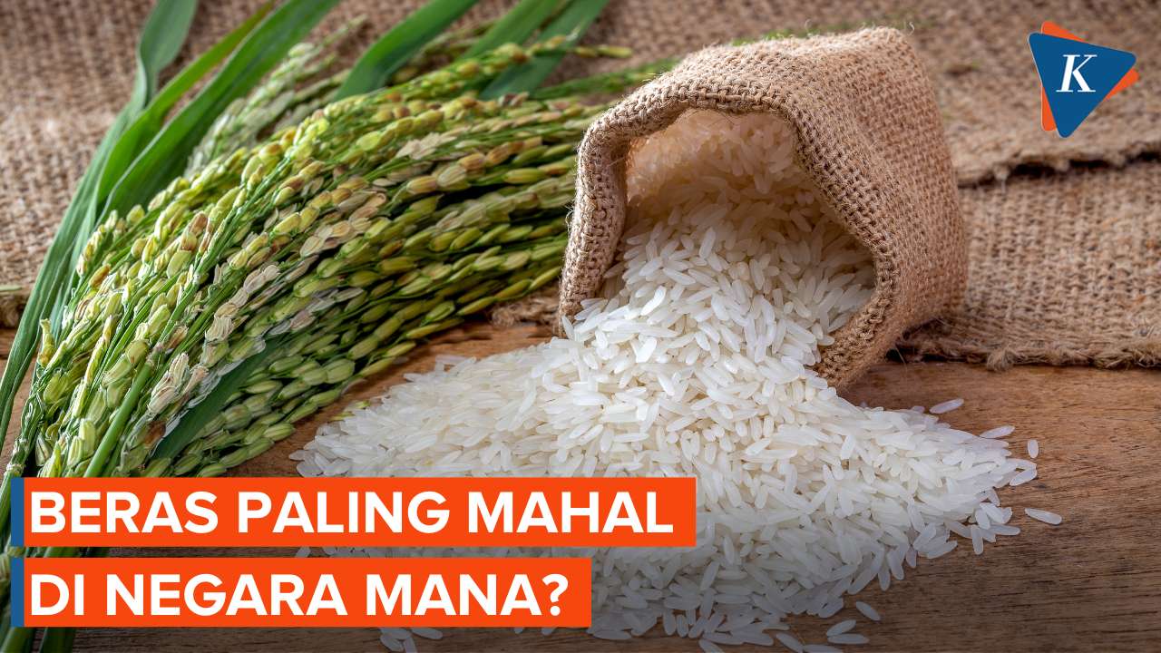 Harga Beras Naik, Negara Mana yang Paling Mahal?