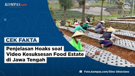 Penjelasan Hoaks soal Video Kesuksesan Food Estate di Jawa Tengah