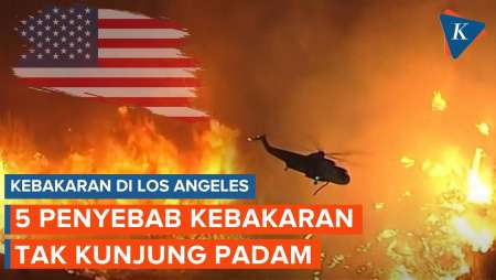 5 Penyebab Kebakaran di Los Angeles Sulit Dipadamkan