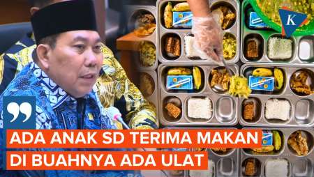 Kritik Pengelolaan Makan Bergizi Gratis, DPR: Ada Ulat hingga Nasi Keras