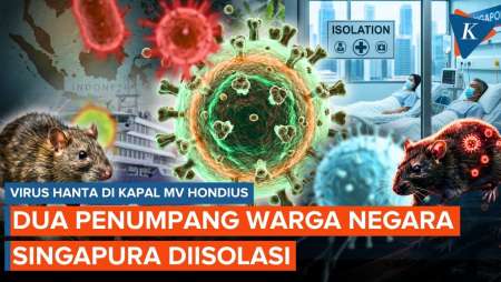 Virus Hanta Di Ambang Pintu Indonesia, 2 Pasien Diisolasi Di Singapura