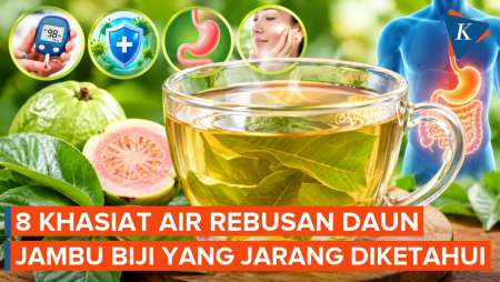 8 Manfaat Minum Air Rebusan Daun Jambu Biji untuk Tubuh