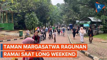 Long Weekend, Taman Margasatwa Ragunan Diserbu Pengunjung