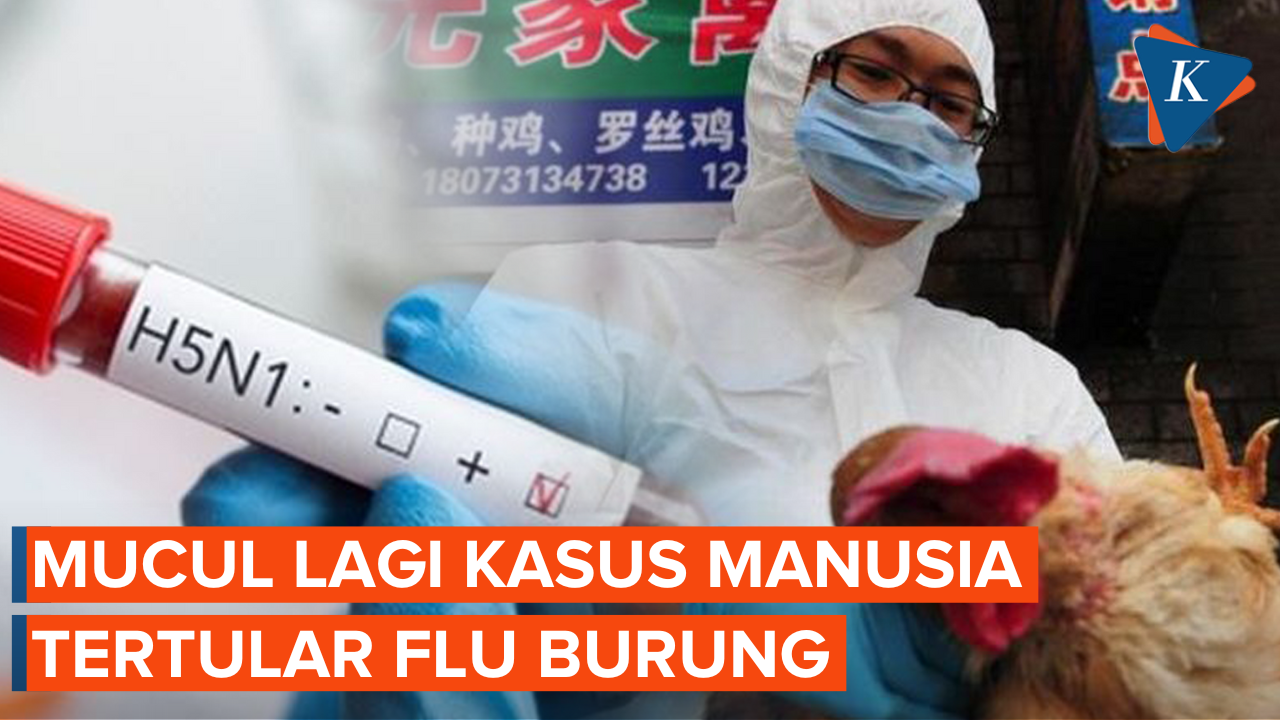 China Kembali Laporkan Kasus Flu Burung yang Menular ke Manusia