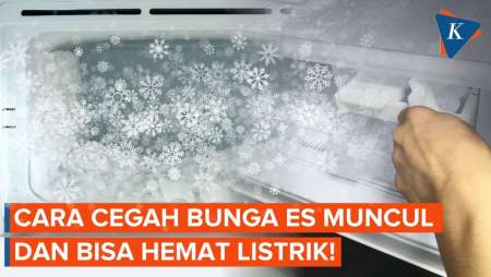 Cara Mencegah Bunga Es Muncul Di Freezer, Bisa Bikin Listrik Hemat