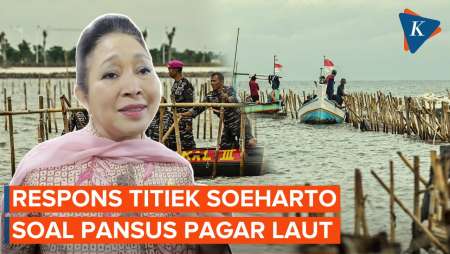 Respons Titiek Soeharto Soal Usulan Pembentukan Pansus Pagar Laut