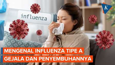 Apa Itu Influenza Tipe A yang Kasusnya Sedang Meningkat?