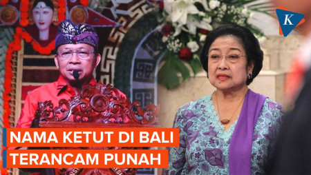 Koster Diminta Megawati Hapus Program KB di Bali, untuk Apa?