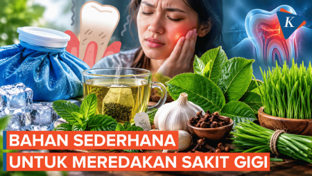 6 Bahan Alami untuk Meredakan Sakit Gigi