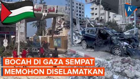 Kisah Pilu Hind Rajab, Bocah Gaza yang Tewas Usai Memohon Diselamatkan